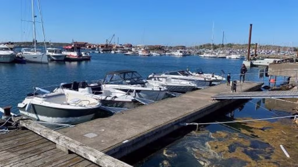 Rodins Marin i Hunnebostrand! Försäljning/Service/Reparation/Vinterförvaring! bild 8