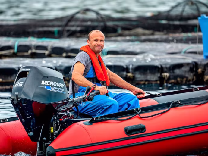 Mercury SeaPro 15-25 hk i vattenmiljö
